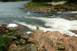 Angler in Action.
